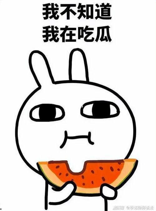 瓜哥带你吃瓜 百度网盘,揭秘热门吃瓜话题背后的秘密